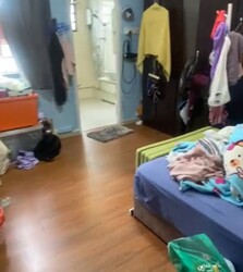 Camellia Lodge (D14), Apartment #504563761